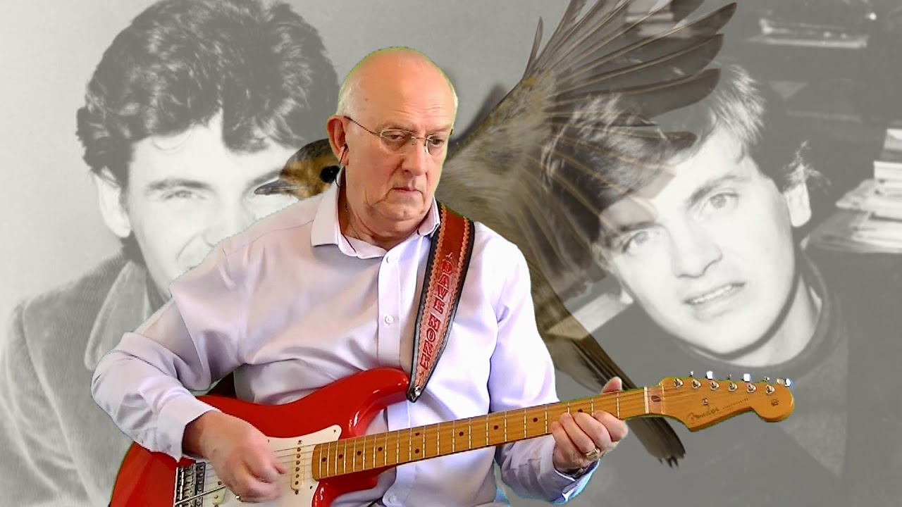 On the Wings of a Nightingale - The Everly Brothers - instrumental cover by Dave Monk