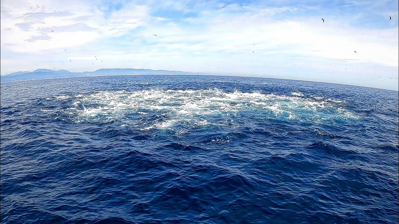 Huge Bluefin Tuna Foamers | Topwater fishing | Season 2023 [Part 3]