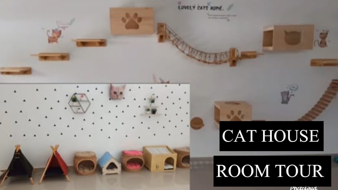 AMAZING CAT HOUSE. For Abandoned Stray Cats. Room Tour