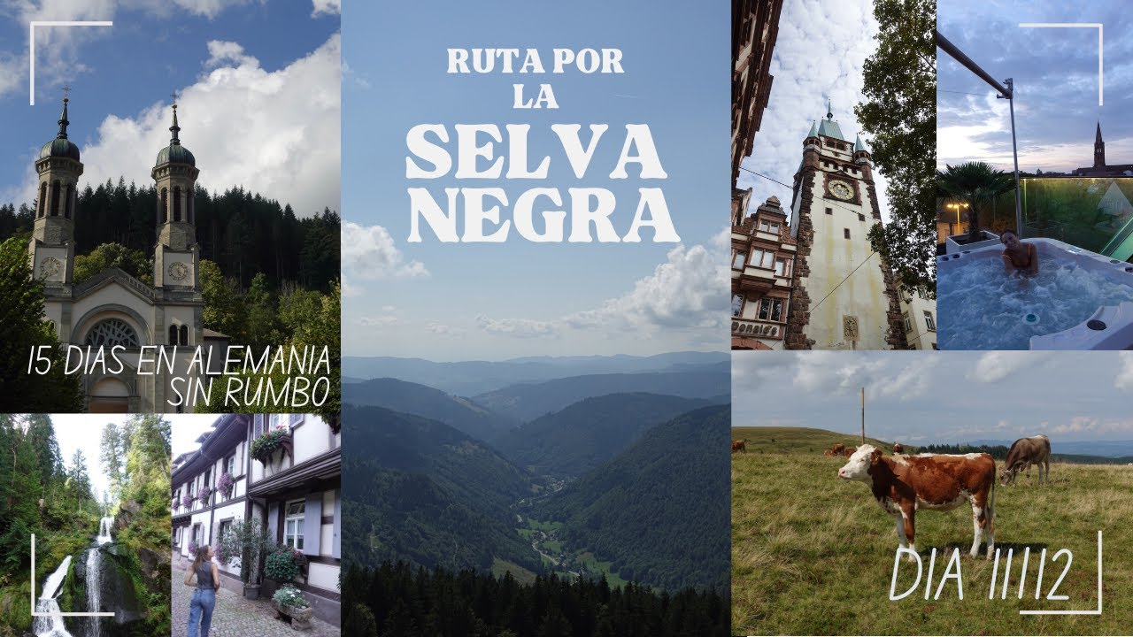 Día 11 y 12 | NO te pierdas esto de la SELVA NEGRA + montaña rusa + puente colgante