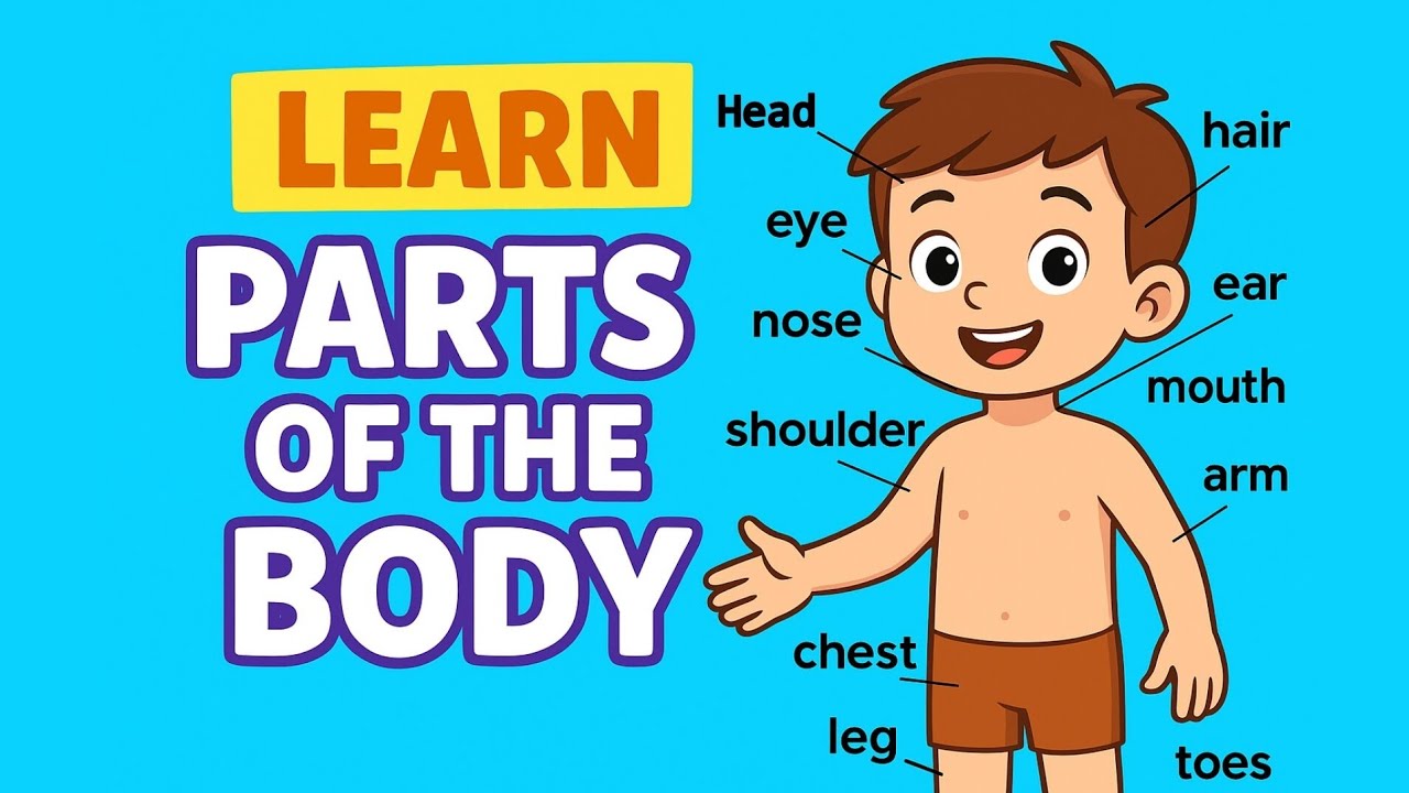 Learn Parts of the Body Vocabulary for Kids | English Words with Pictures