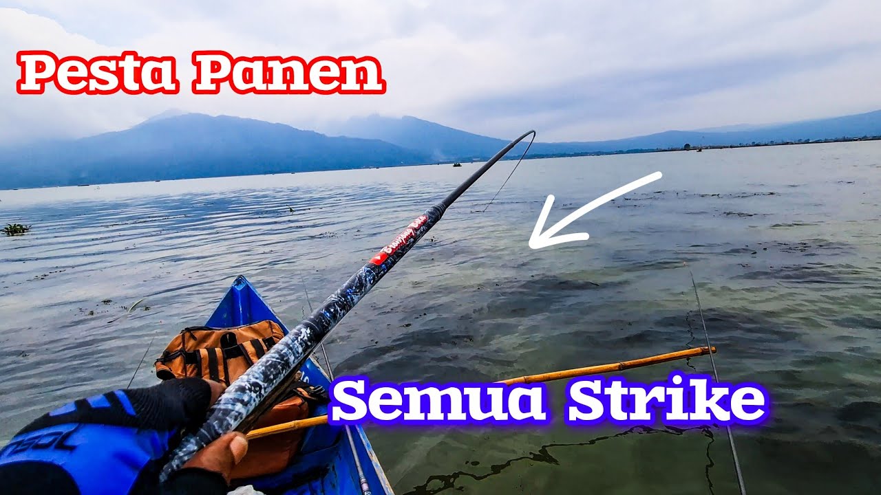 Mulai Panen