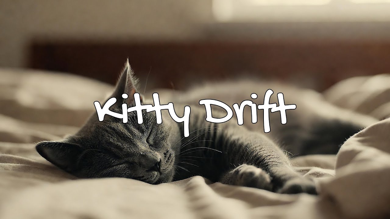 LIVE 🐱 Rainy Night Lofi for Cat Relaxation 🌧️ | Season 3 | 24/7 Lofi Radio 📻