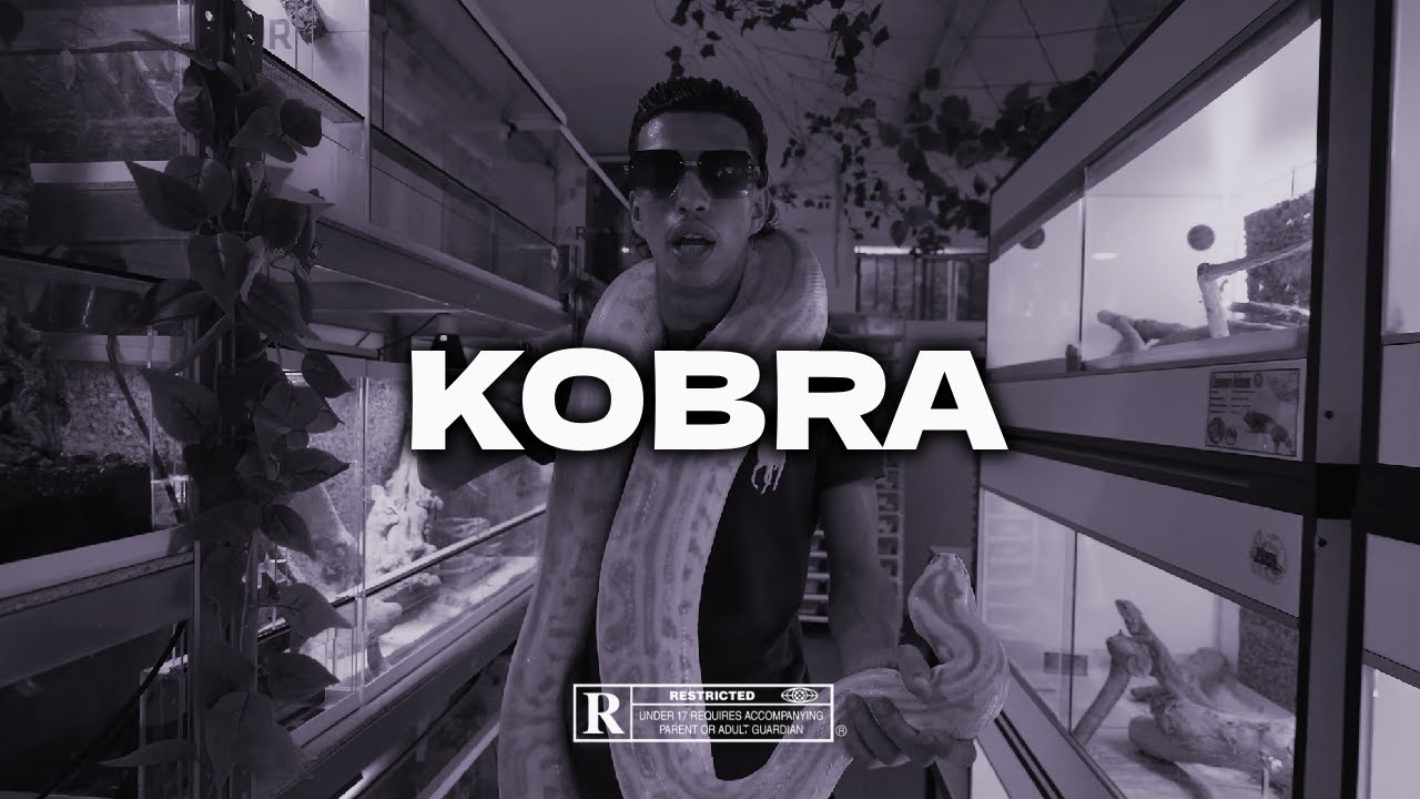 Ramzes x Harmann x Alkhazar x Simba La Rue Type Beat | KOBRA