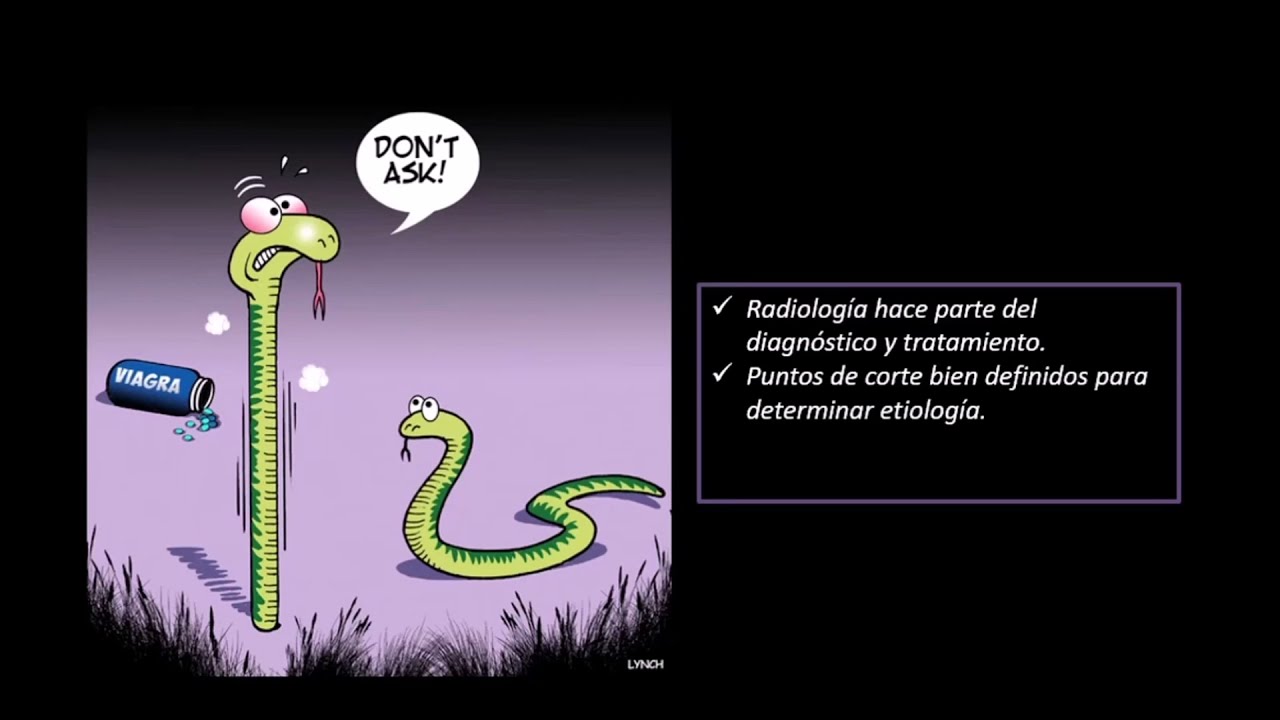 Caso Clínico 69: Disfunción eréctil.