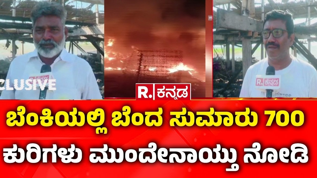 Raichur sheep fire accident | ಬೆಂಕಿಯಲ್ಲಿ ಬೆಂದ ಸುಮಾರು 700 ಕುರಿಗಳು ಮುಂದೇನಾಯ್ತು ನೋಡಿ