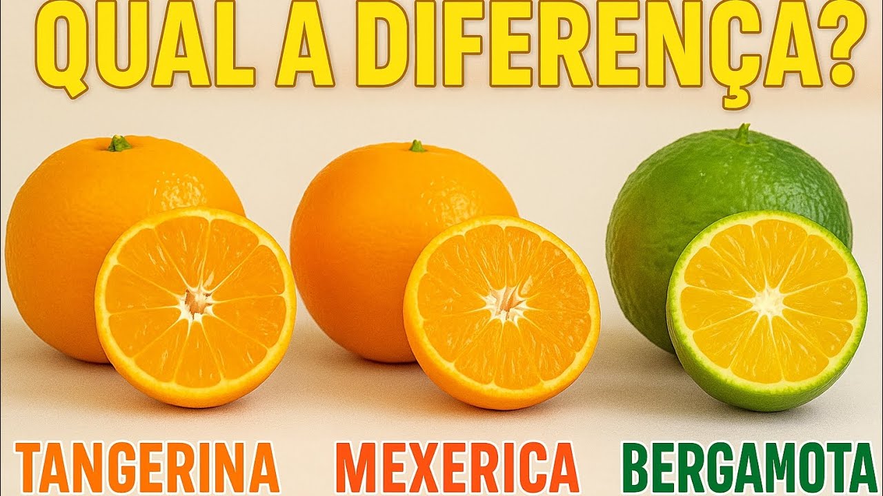 Você Sabe Qual a Diferença Entre Tangerina, Mexerica e Bergamota?
