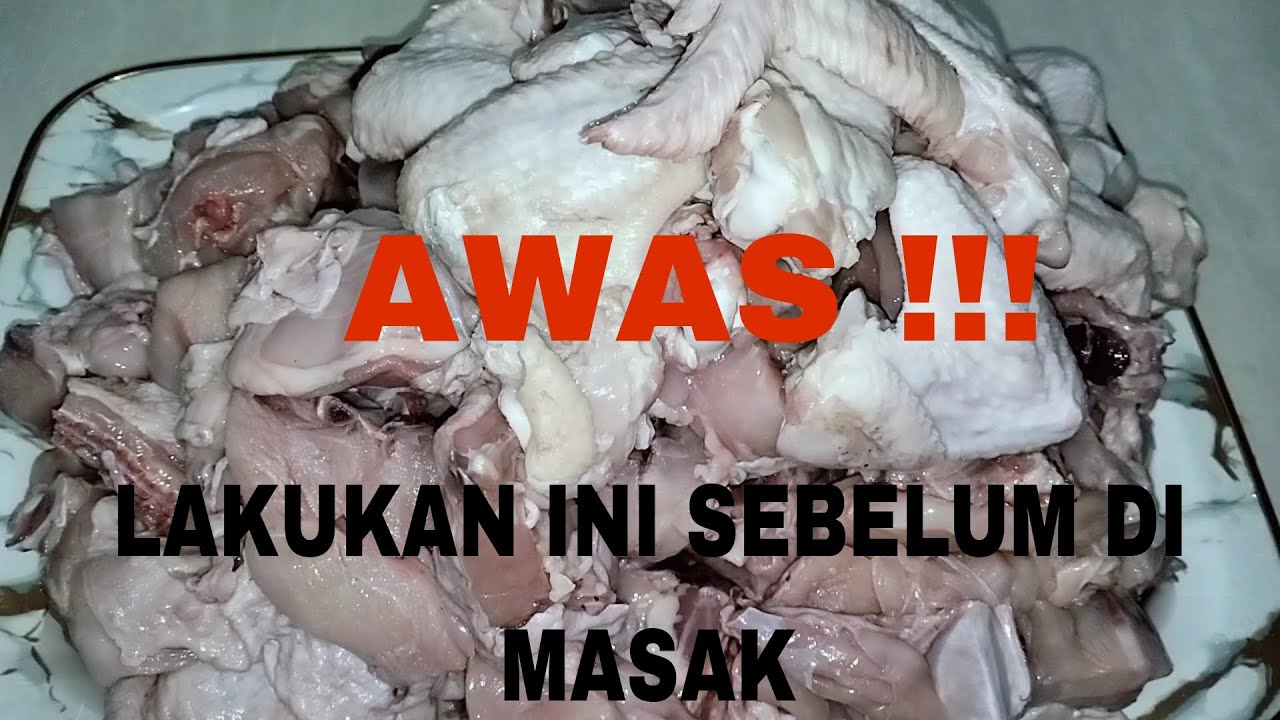 MENGHILANGKAN DARAH AYAM || CARA MENGHILANGKAN BAU AMIS PADA AYAM POTONG || @Nofia putri