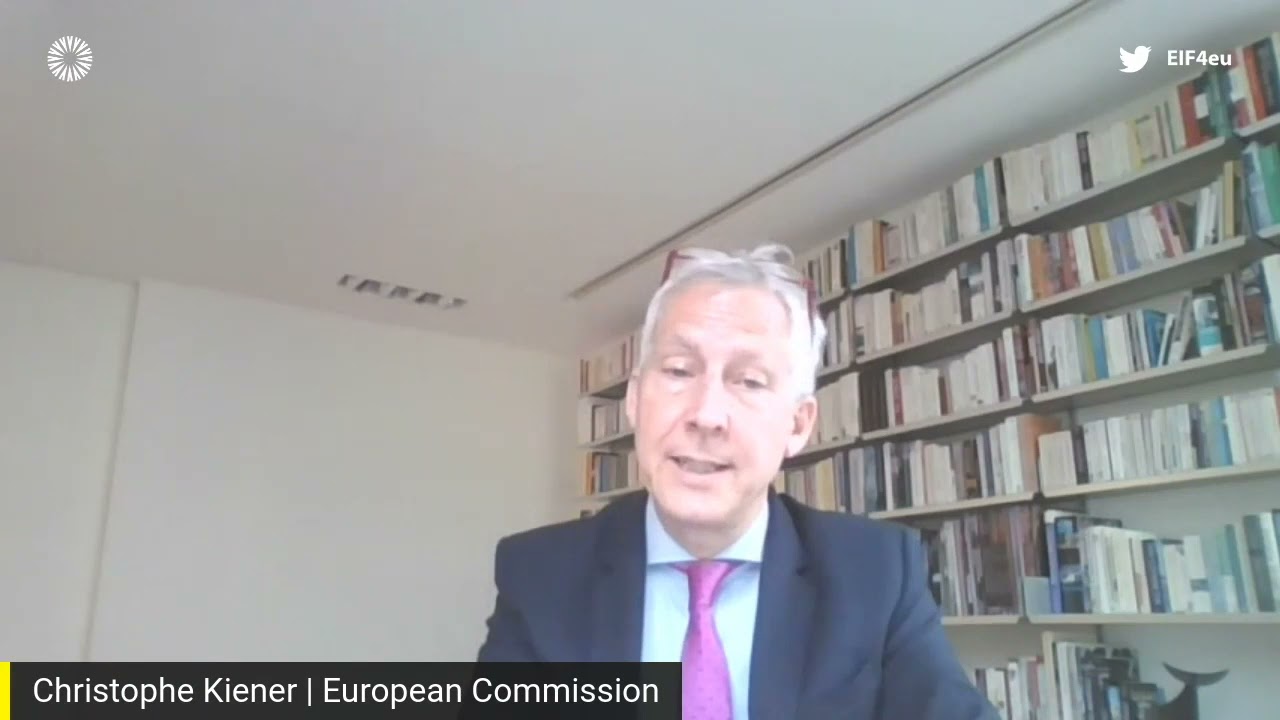 Christophe Kiener, European Commission - E-commerce or Digital Trade or both?
