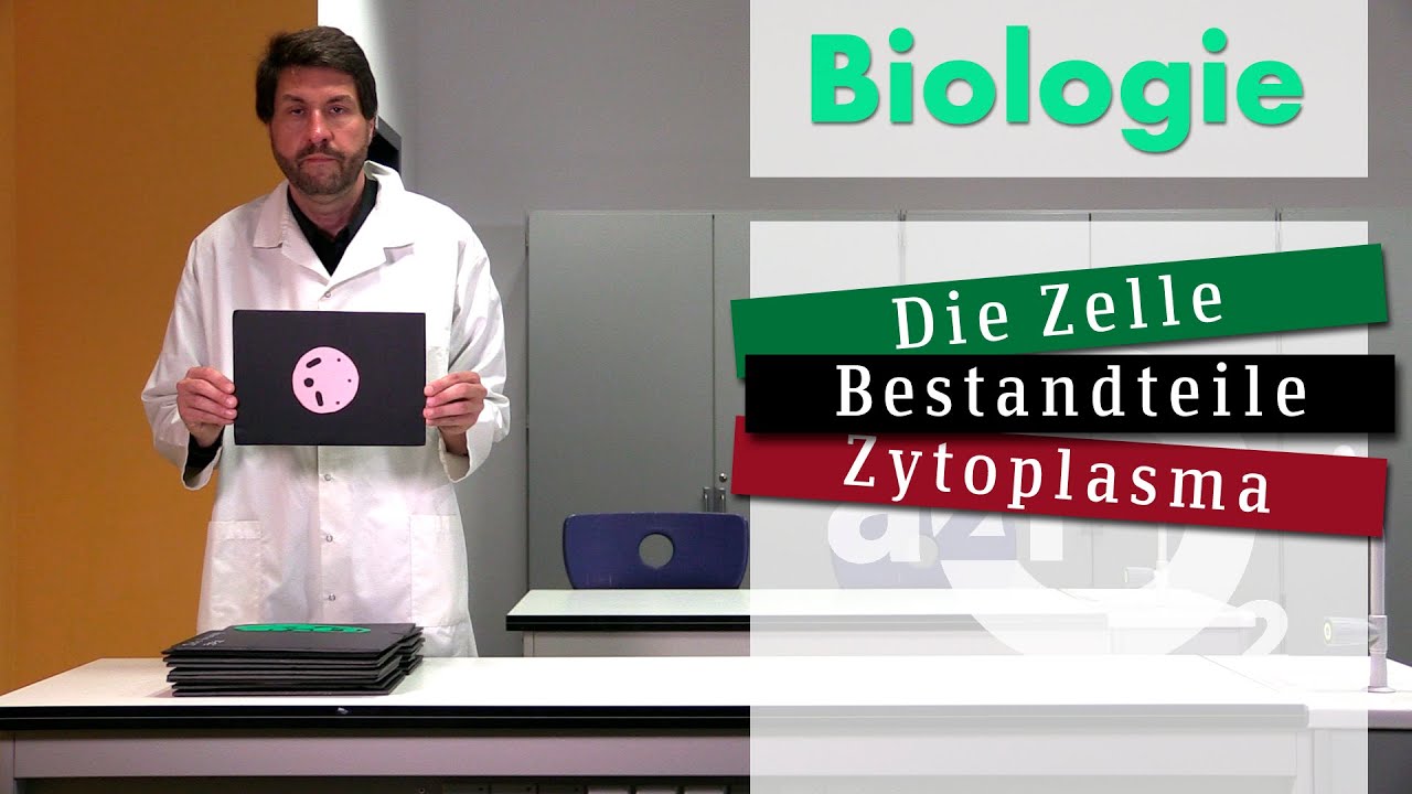 Das Zytoplasma