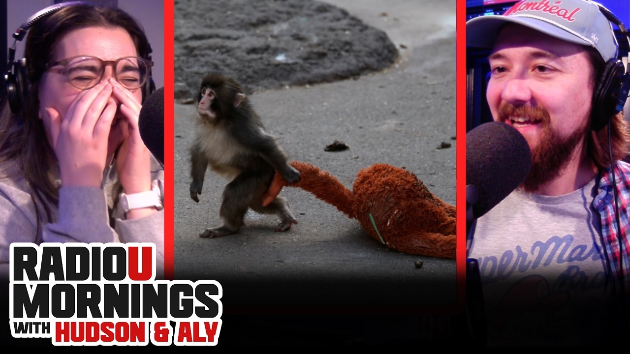 DJs React to Punch the Monkey from Japan