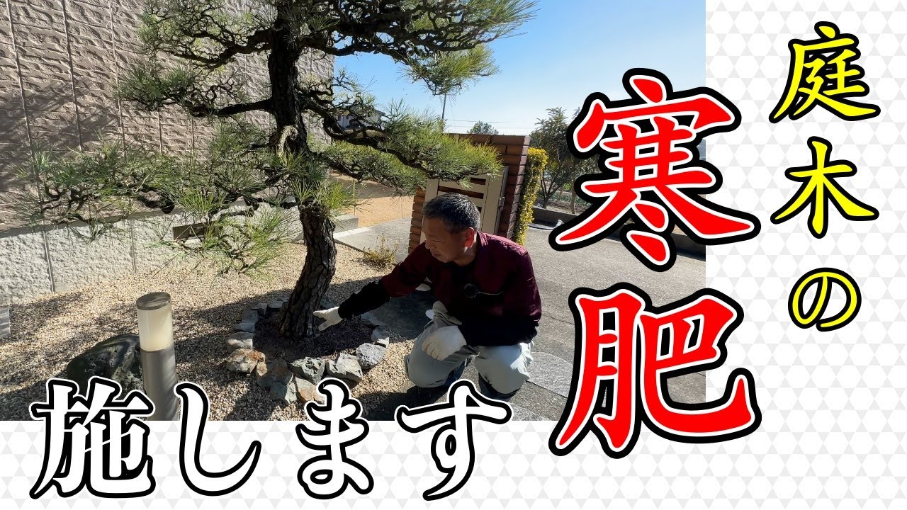 春の芽吹に向けて、寒肥を施しましょう。冬の時期にやる寒肥を詳しく解説します。