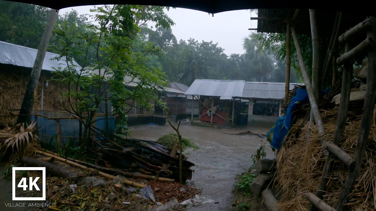 Rain in a beautiful village in Bangladesh | sleeping rain | Bangladeshi village