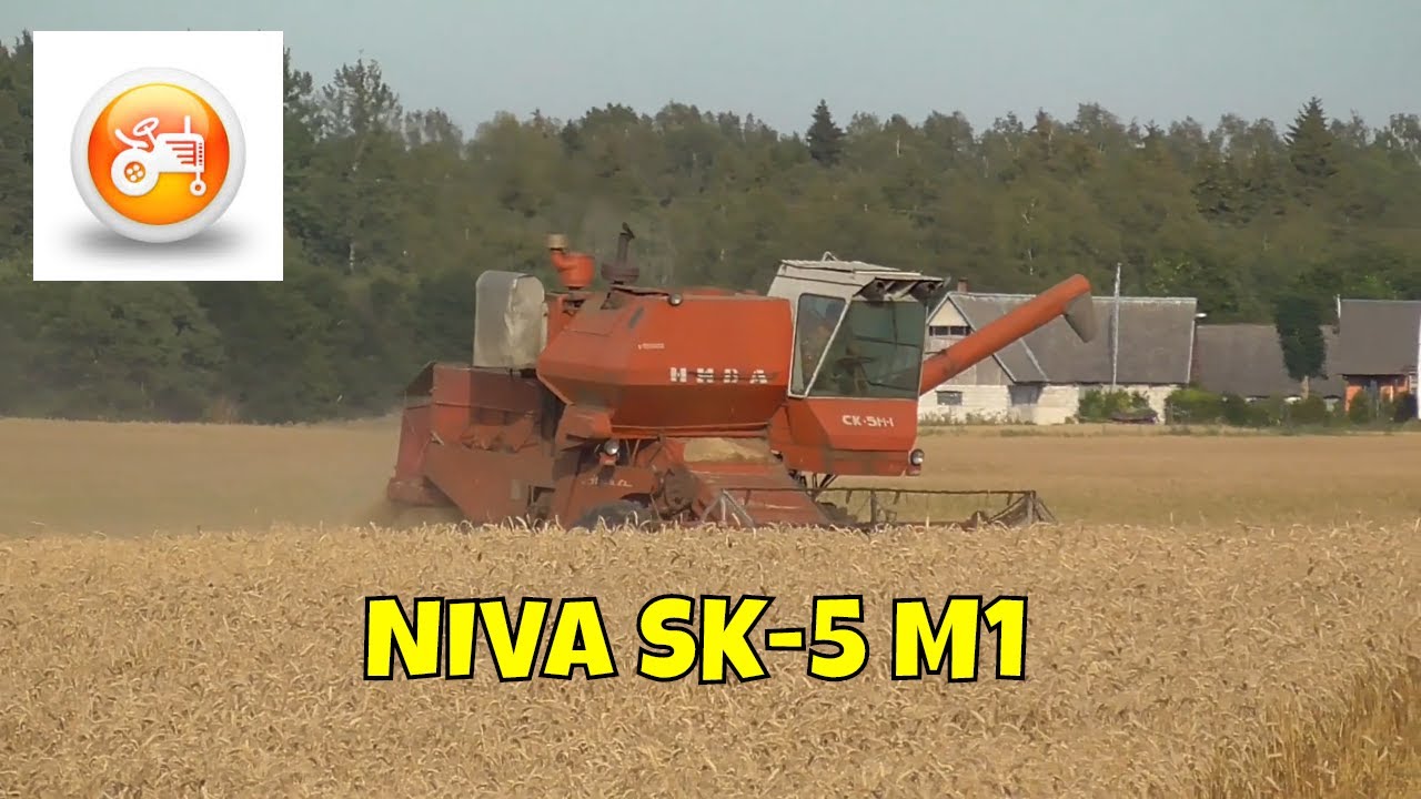 Harvest 2019 | NIVA SK-5 M1 combine harvesting barley