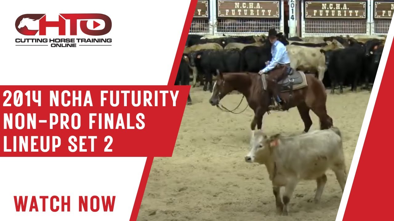 2014 NCHA Futurity Non-Pro Finals Lineup Set 2