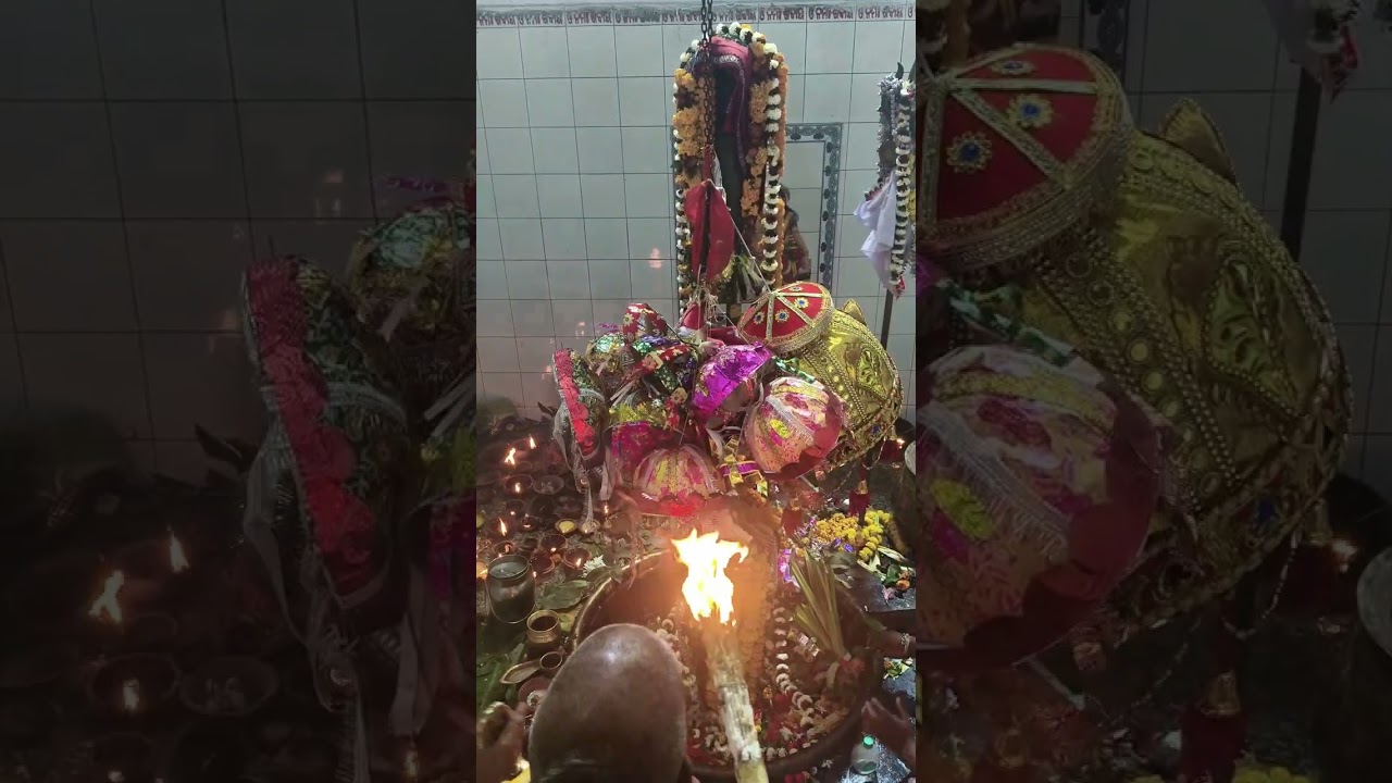Har har Mahadev 🙏🔱🌺🌺 Omm Nama shivaya 🙏 Jay baba Tribaneswar 🙏🔱🌺 mahashivratri jagara #lord Shiva 🙏🌺