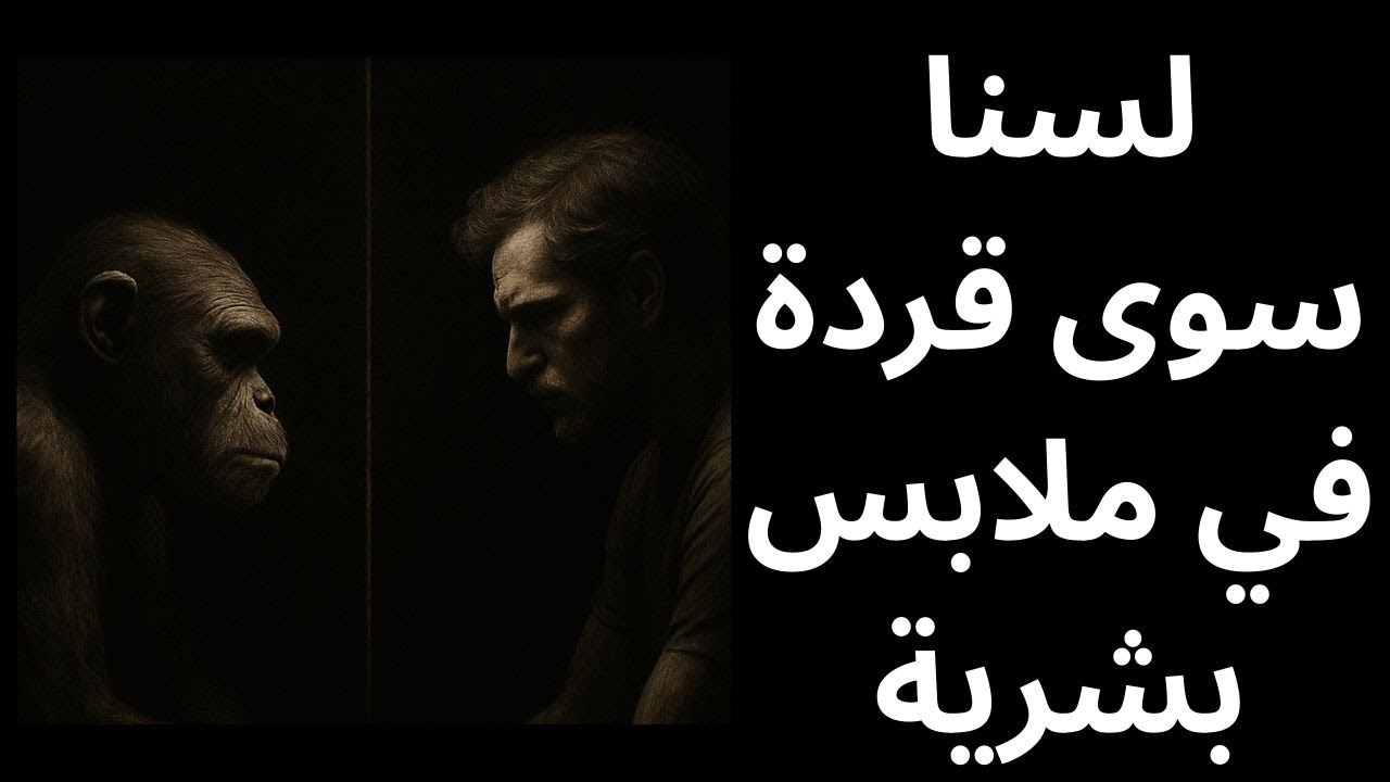خواطر مسائية / لسنا سوى قرود