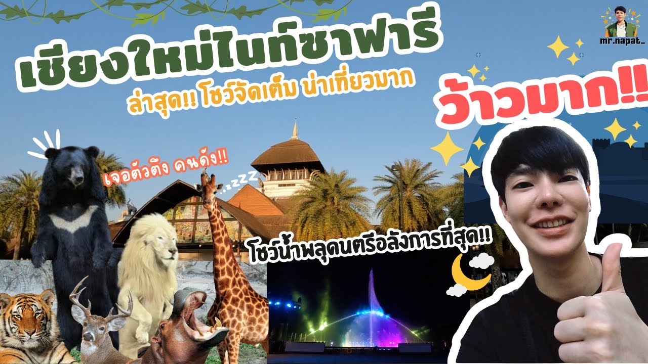 เที่ยวเชียงใหม่ไนท์ซาฟารีล่าสุด!! น้องสัตว์น่ารัก ดูโชว์น้ำพลุดนตรีสูงที่สุดในเอเชีย