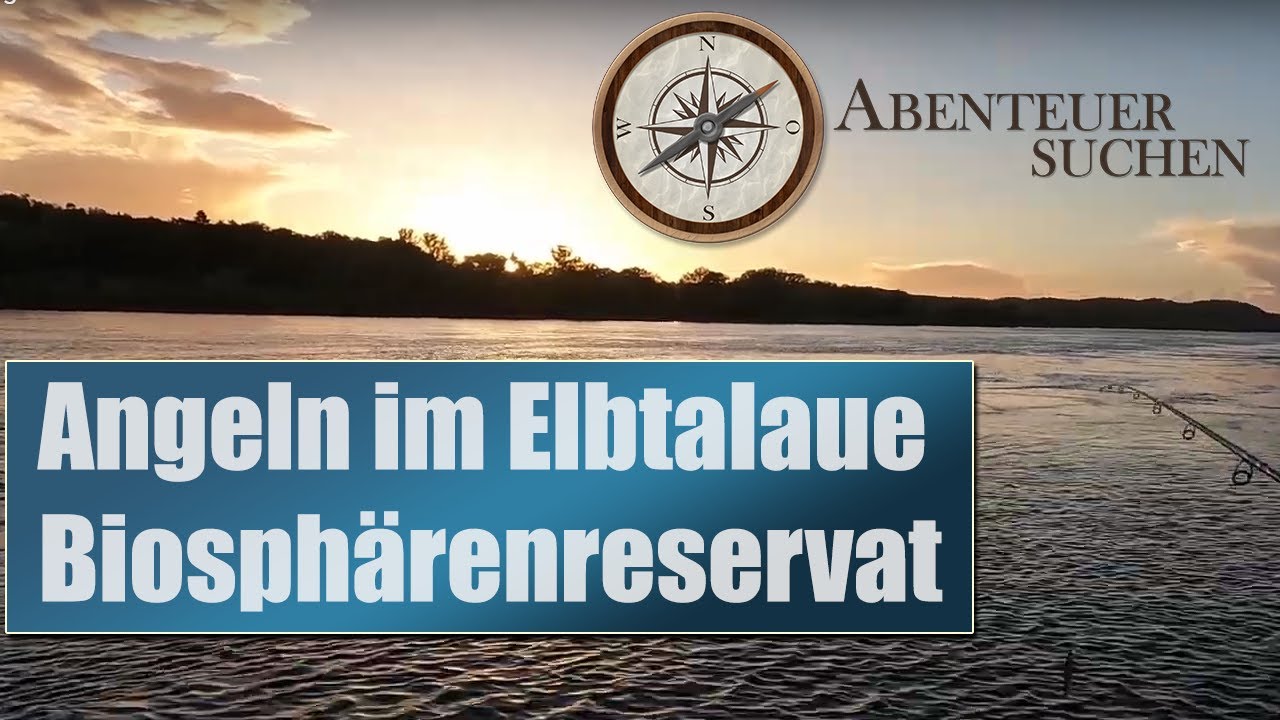 Rapfen, Regen, Rutenbruch - Angeln im Elbtalaue Biosphärenreservat