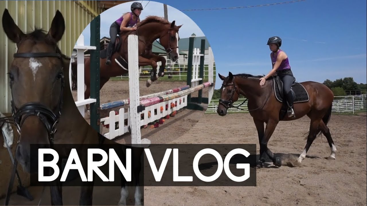 TACK UP & RIDE WITH ME // barn vlog