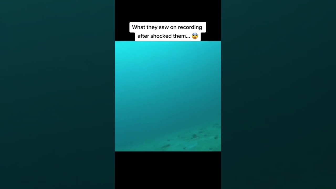 Real Proof That Mermaids Actually Exist&hellip; 🧜&zwj;♀️😳 #shorts