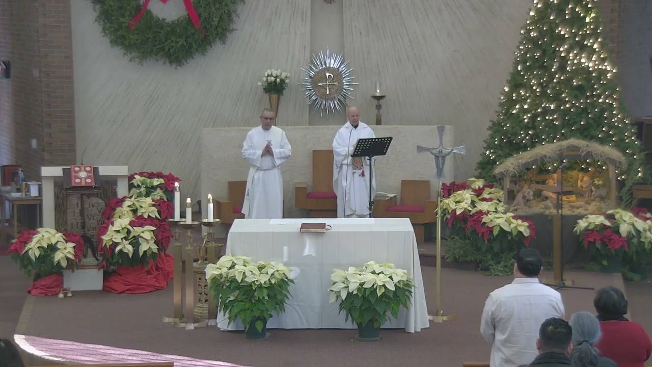 Misa para la Solemnidad de María Santísima, Madre de Dios (1/1/2026)