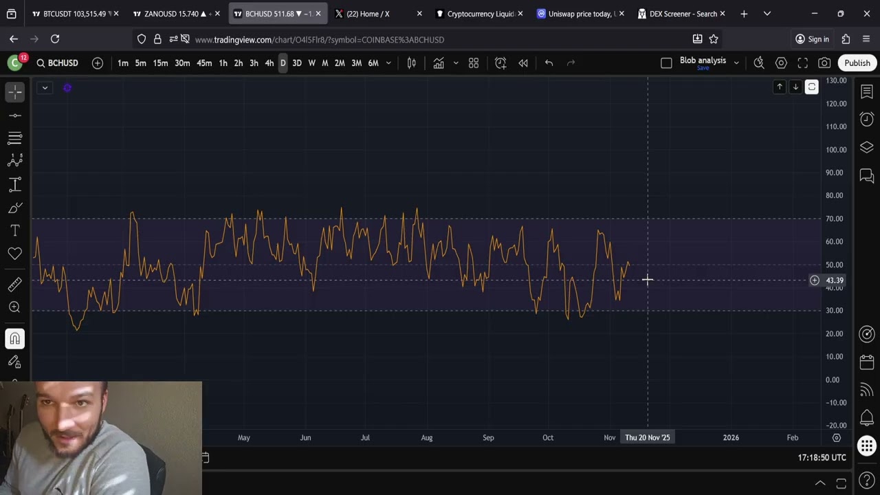 Prognoza ceny Bitcoin Cash BCH: 11.11.2025