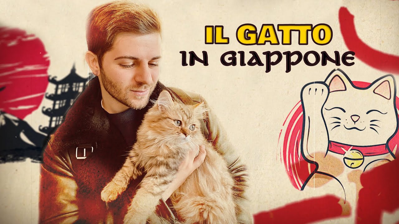 Il GATTO in GIAPPONE - Leggenda, NekoCaffè e tanto altro!