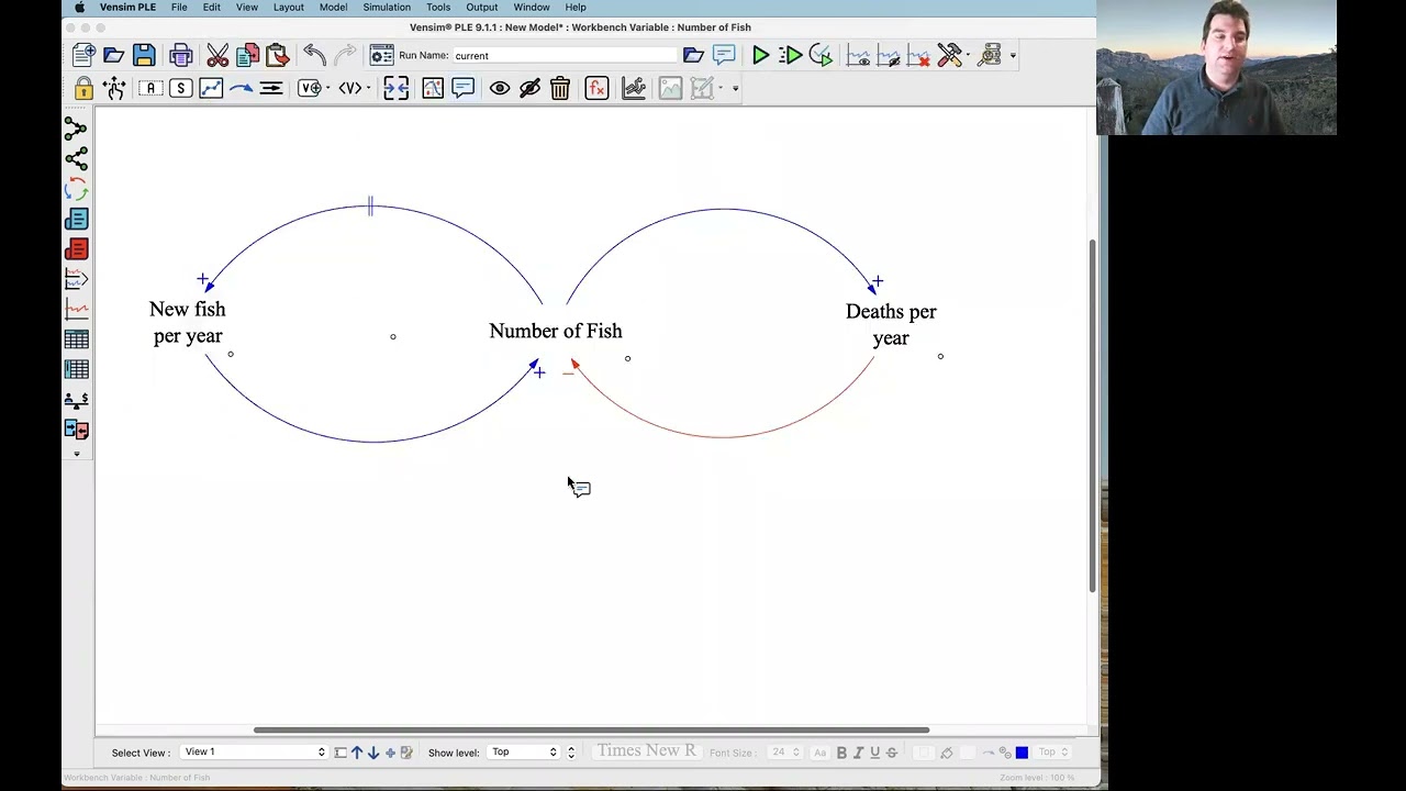 SOS 212: Drawing Causal Loop Diagrams (CLDs) in Vensim PLE's 