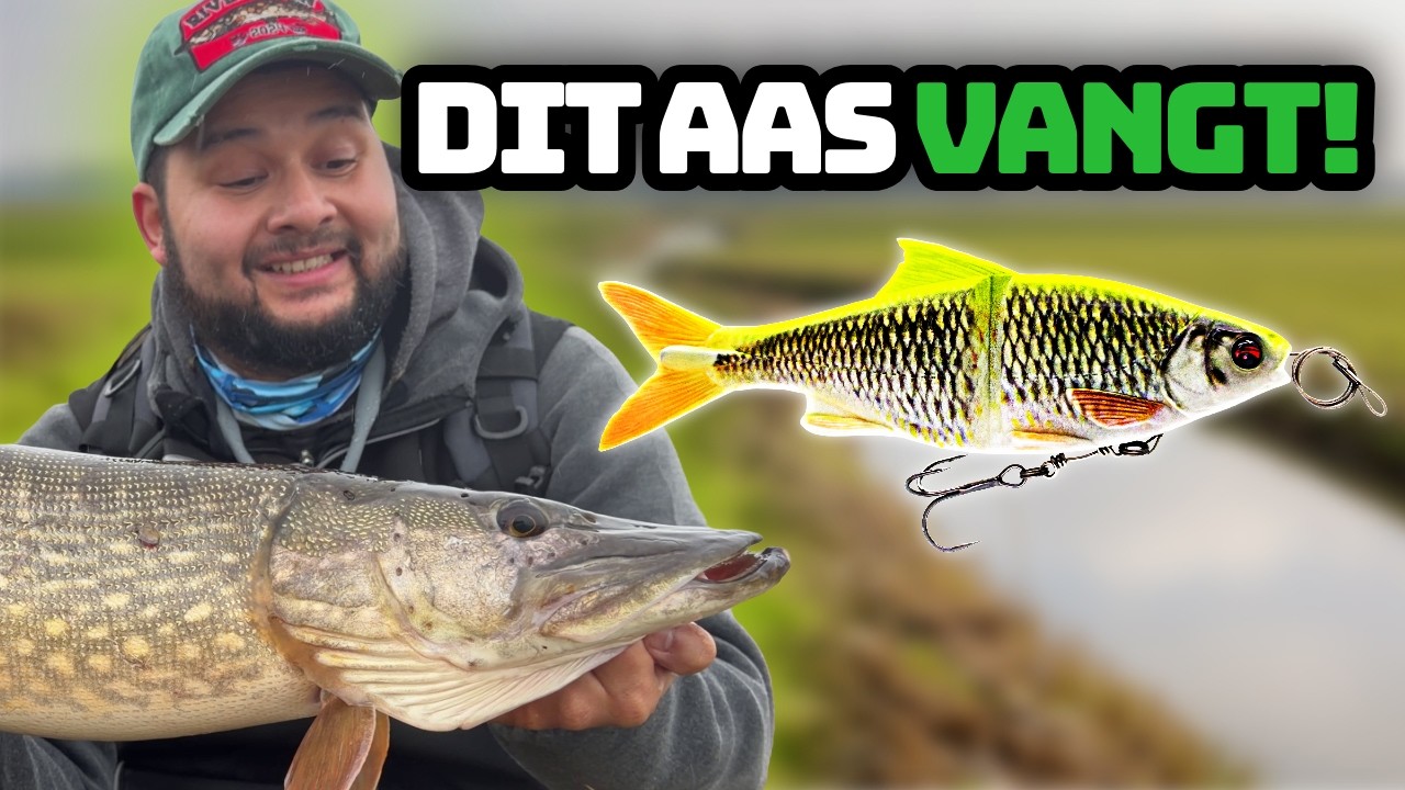 SNOEK KAN DIT AAS NIET WEERSTAAN! 😳