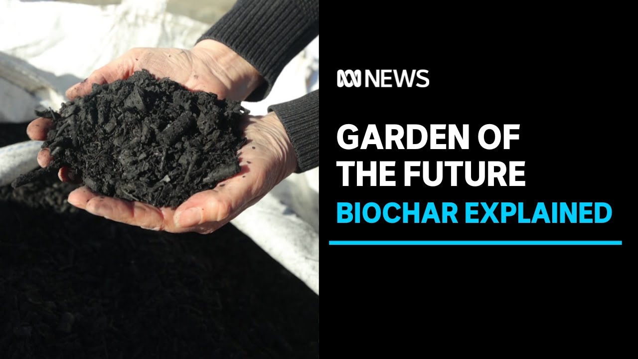 Turning green waste to black gold: new biochar trial | ABC News