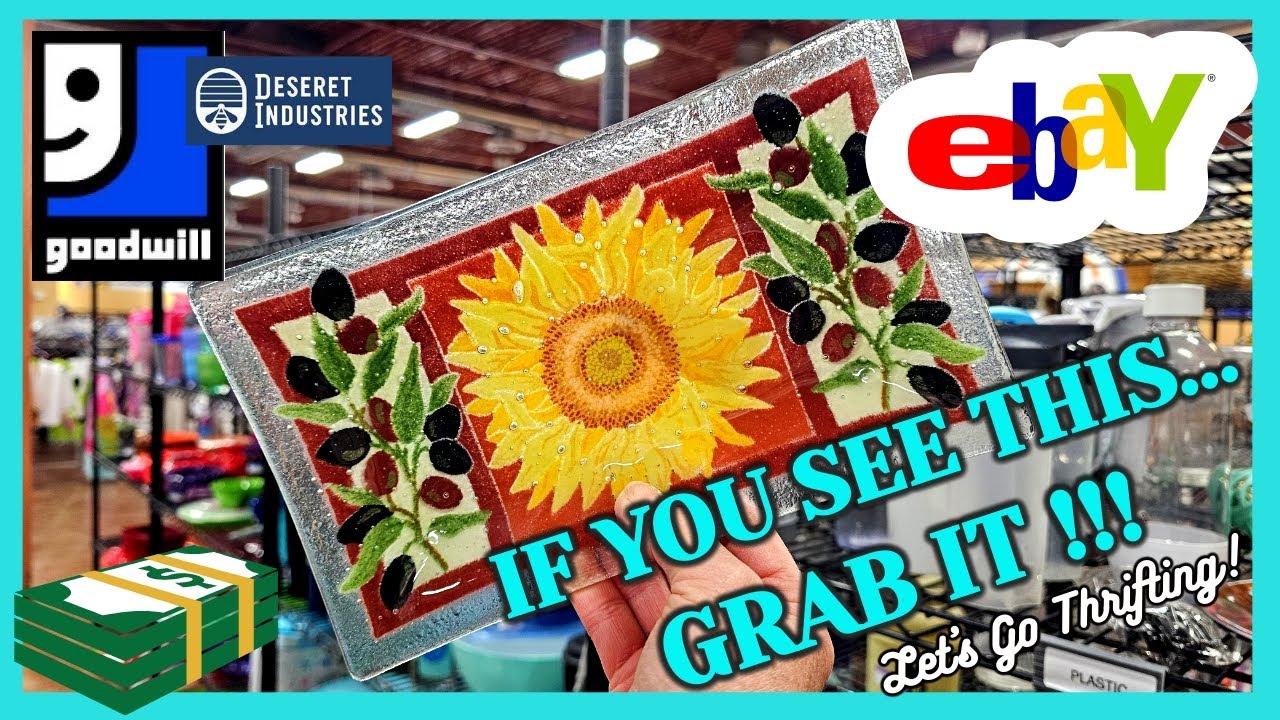 I SPENT $61 in 20 MINUTES at GOODWILL and MET A FRIEND for LUNCH and THRIFTING! / Top 5 BEST SELLERS