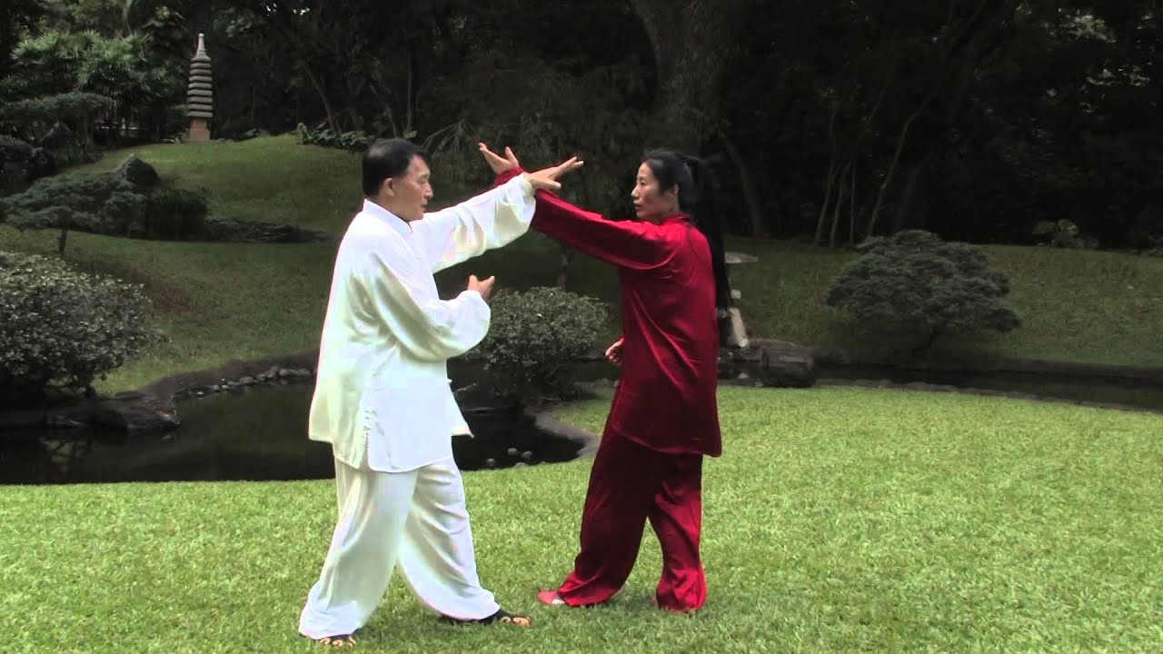 Wang Shangzhi Yin Baguazhang Applications 11-29-14