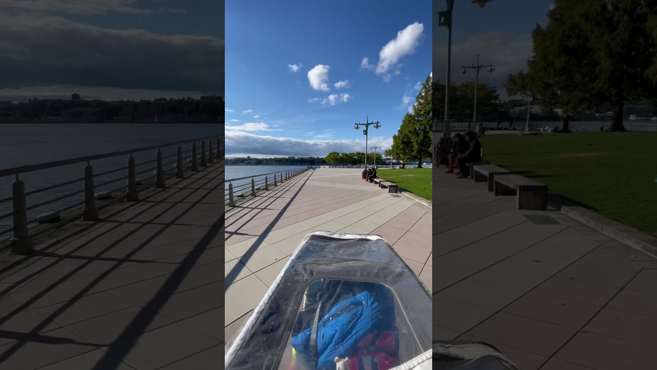 A bit of non-musical everyday life 🥰 NYC  PIER 84