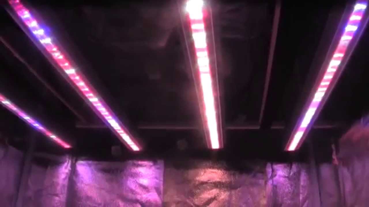 BML LED GROW LIGHTS - Video #2 - Initial Setup & Some Testing of BML LED Grow Light
