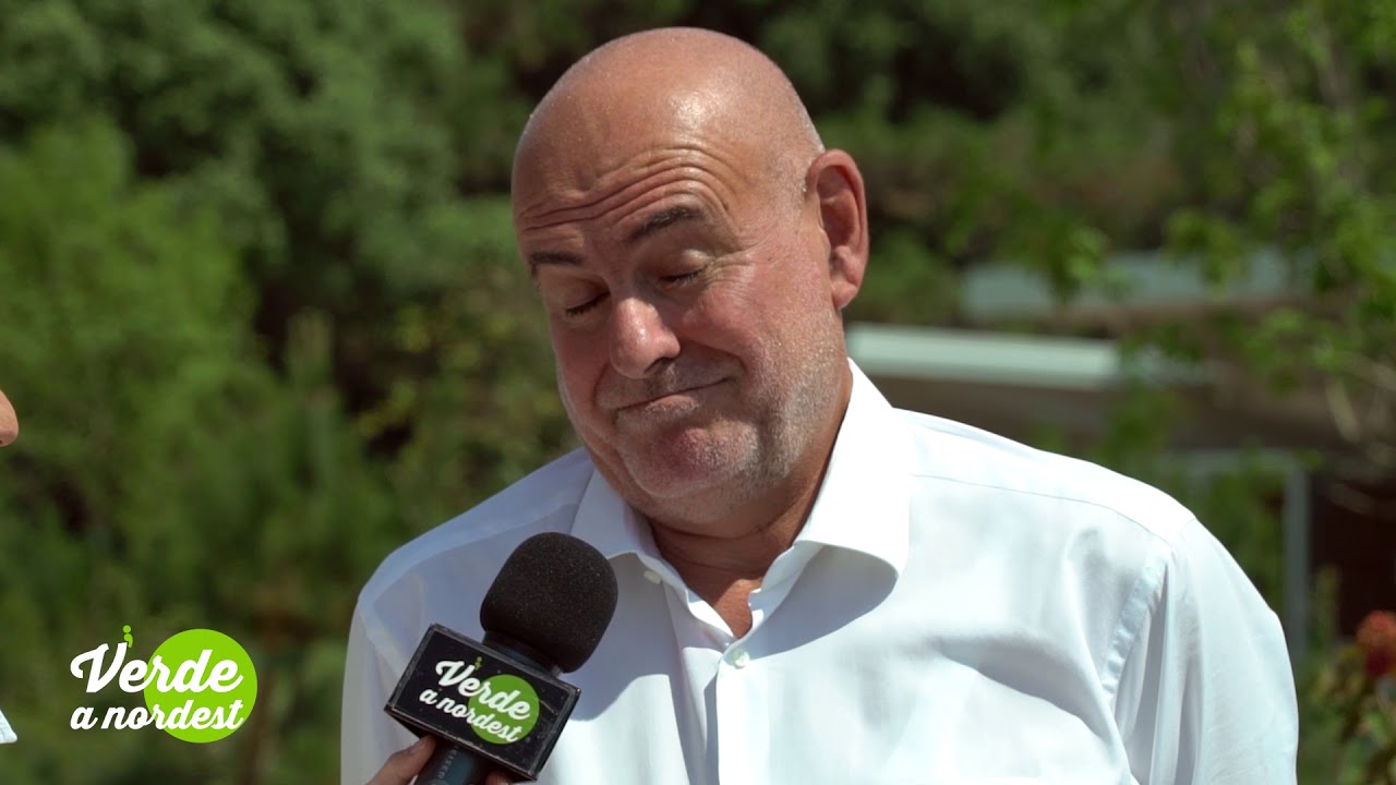 P1235 01 Lino delle Fate   Vanni Basso   Bibione