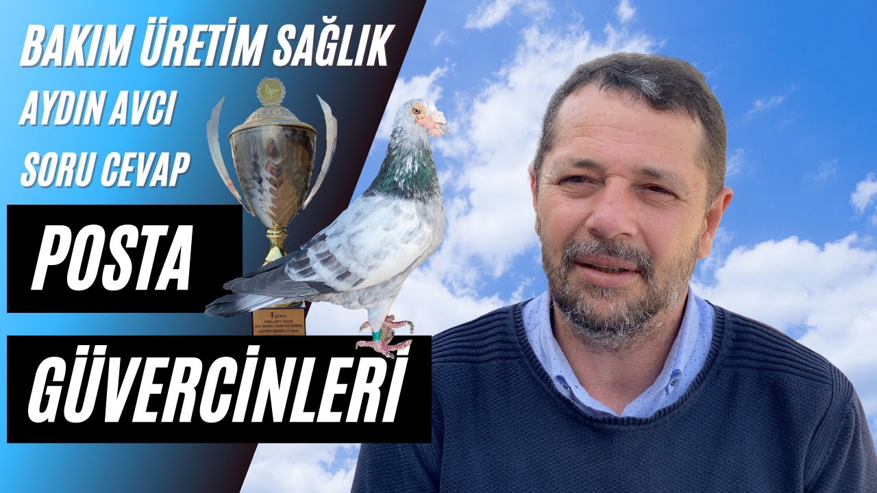 Posta G&uuml;vercin Sohbeti Aydın Avcı (Bricon) Part II