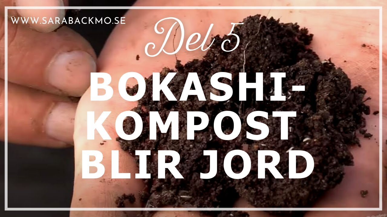 Bokashi del 5: Hur snabbt blir bokashi-kompost jord?