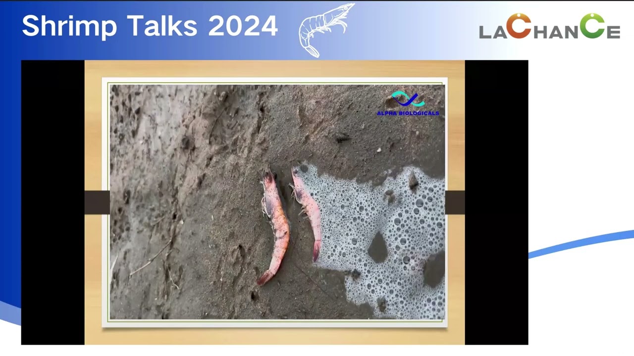 Dr. Amerneni Ravi Kumar speech on shrimp health management