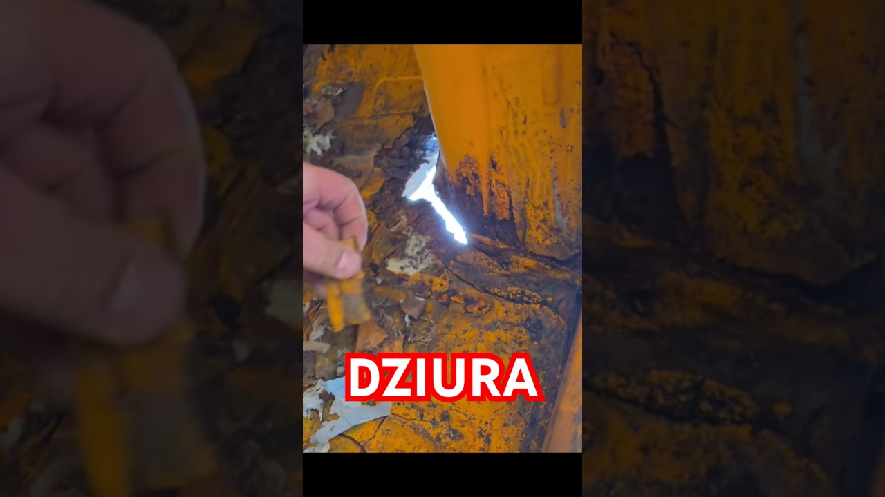 DZIURA W PODŁODZE MALUCHA 😮😮😮 #graoplon #shorst #funnymoments