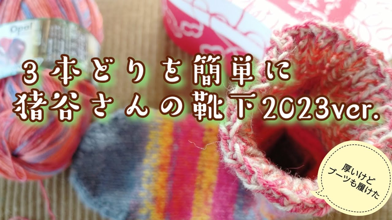 【猪谷さんの靴下🧦】4,5mm8号針でより柔らかく、3本どりも簡単に🎶23,5cm