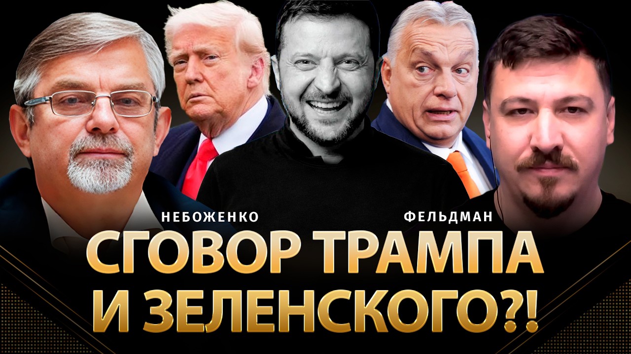 Сговор Трампа и Зеленского?! | Виктор Небоженко, Николай Фельдман | @Viktor_Nebozhenko      ​
