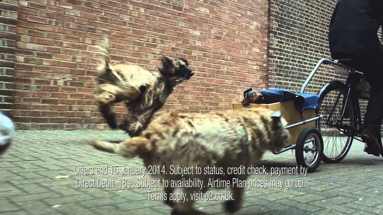 O2 Sale Race: Xperia Z1, 1020 & Note 3 in 40 seconds