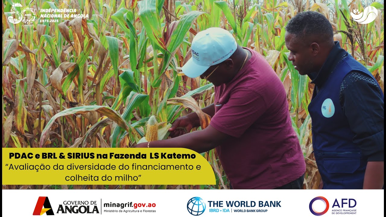 Fazenda LS Katemo   Huambo