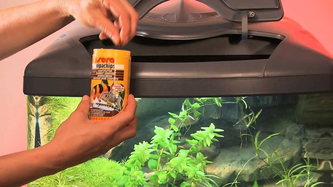 sera храна за декоративни рибки