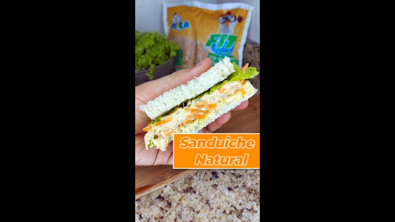 Receita de Sanduíche Natural RICA