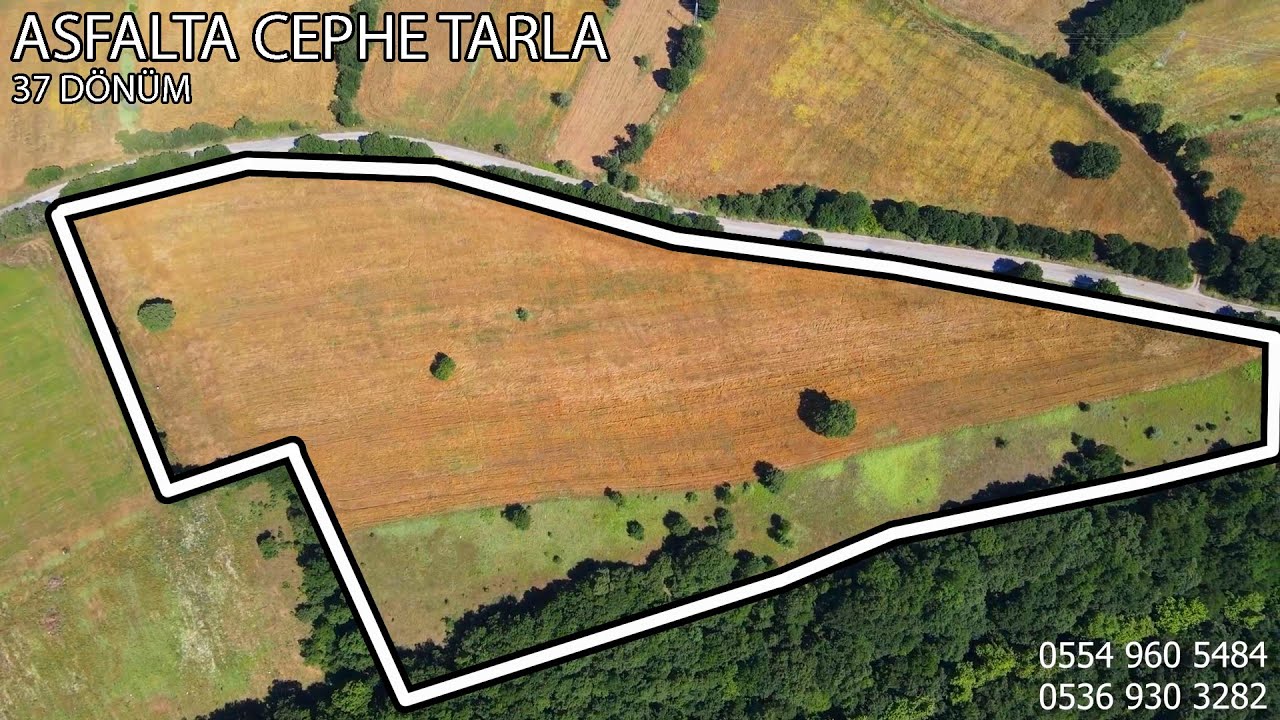 1225- 37.000 m2 Asfalta Cephe Çiftlik Arazisi / Ceviz Ve Tarımsal Arazi