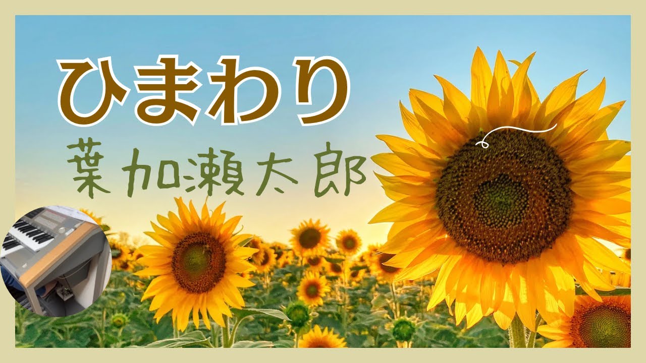 ひまわり「てっぱん」より　葉加瀬太郎（Taro Hakase）   エレクトーン演奏