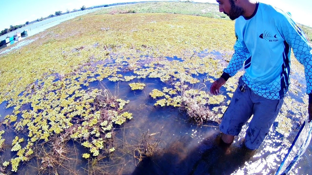 VOCÊ VIU ISSO? - PESCA DE PENEIRA