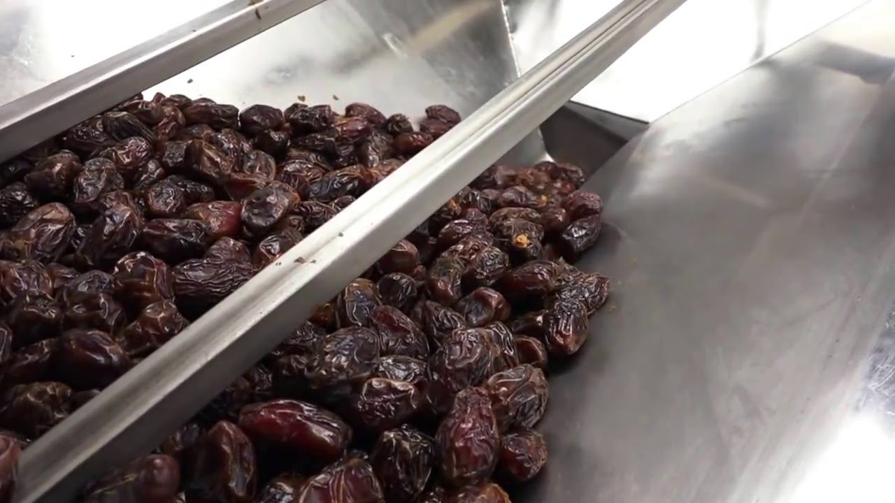 Arab Americans TV |Medjool Dates | حكاية لبناني زكريا طراد يعمل في تجارة التمور في امريكا